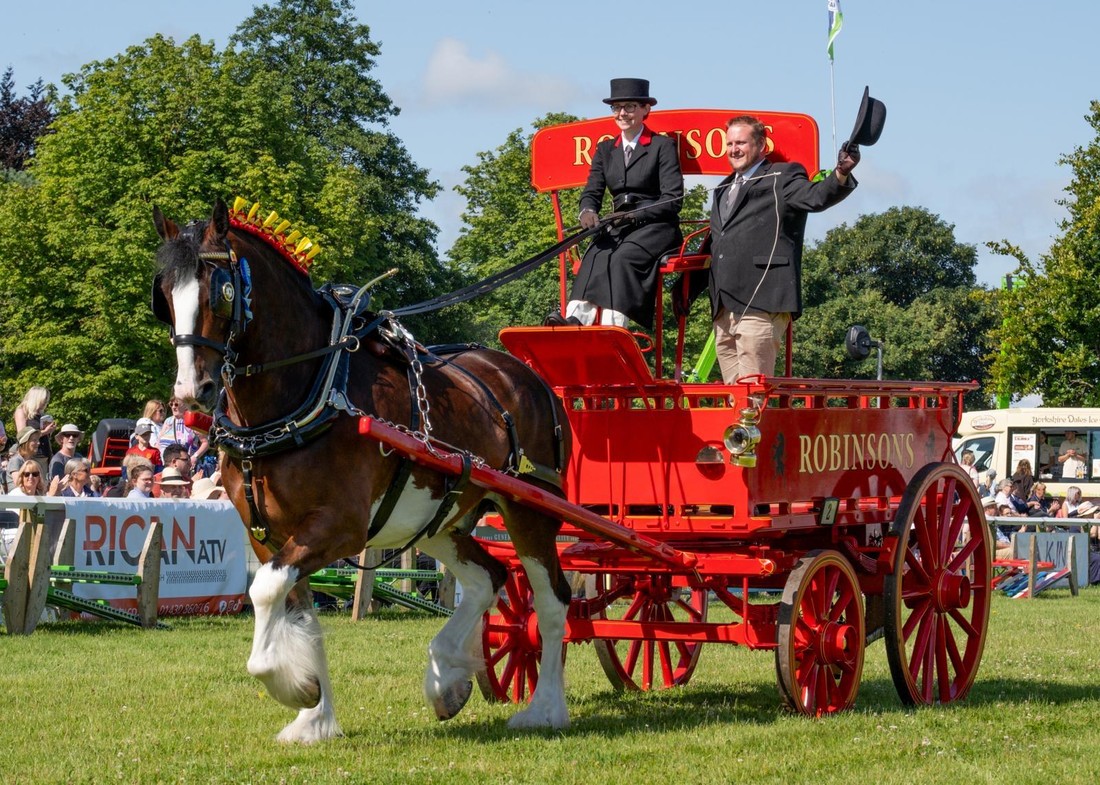 robinsons shire horses challenger