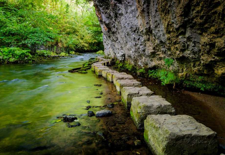 chee dale stepping stones